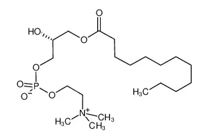 L-A-溶血磷酰脂胆碱