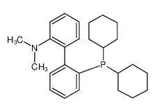 2-二环己膦基-2''-(N,N-二甲胺)-联苯