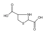 噻唑烷-2,4-二羧酸
