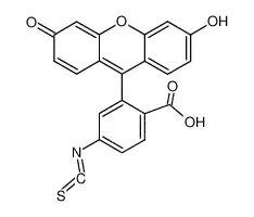 6-异硫氰酸荧光素