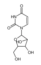 阿糖尿苷