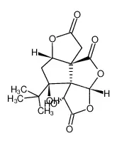 白果内酯