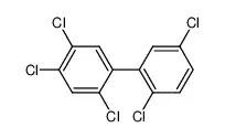 异辛烷/甲苯中PCB101标准溶液