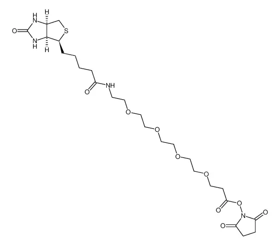 15-BiotinlaMino-4,7,10,13-dioxanonanoic acid N-hydroxysucciniMidyl ester