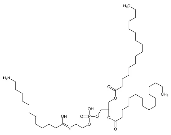 1,2-dipalmitoyl-sn-glycero-3-phosphoethanolamine-N-(dodecanylamine)