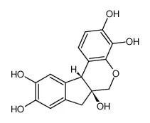 苏木精