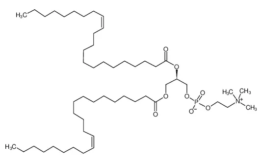1,2-dierucoyl-sn-glycero-3-phosphocholine