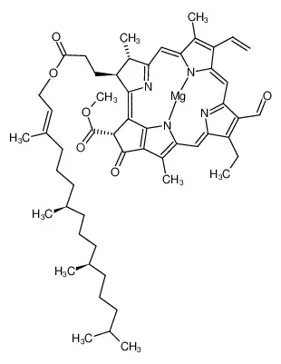 叶绿素b
