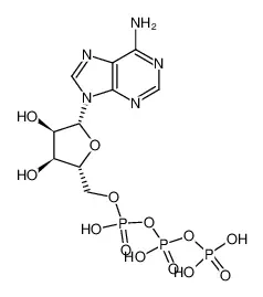 三磷酸腺苷