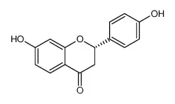 甘草素