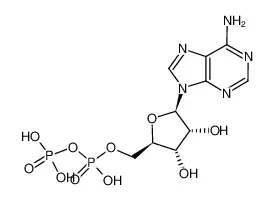 腺苷-5’-二磷酸