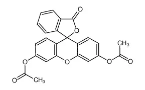 二乙酸荧光素