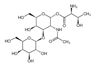 T Epitope， Threonyl