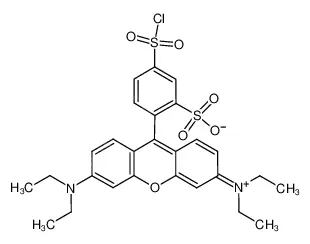 丽丝胺碱性蕊香红B磺酰氯