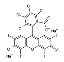 孟加拉玫瑰红