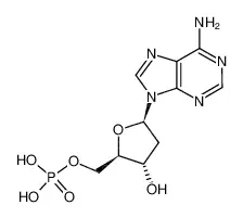 2′-脱氧腺苷-5′-单磷酸