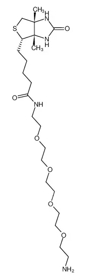 生物素-PEG4-胺