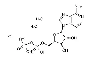 腺苷-5''-二磷酸单钾盐二水合物