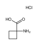 1-氨基-1-环丁基羧酸盐酸盐