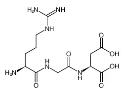 精氨酰-甘氨酰-天冬氨酸