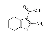 2-氨基四氢苯并噻吩-3-甲酸