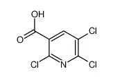 2,5,6-三氯烟酸,