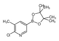 2-氯-3-甲基吡啶-5-硼酸频哪醇酯