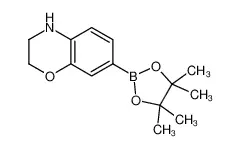 7-(4，4，5，5-四甲基-1，3，2-二噁硼烷-2-基)-3，4-二氢-2H-苯并[b][1，4]噁嗪