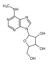 N6-甲基腺苷
