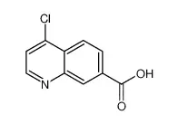 4-氯喹啉-7-甲酸