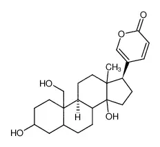 19-羟基蟾毒灵