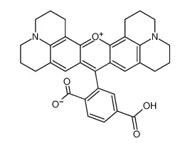 6-羧基-X-罗丹明