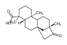 异甜菊醇