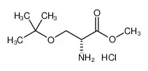 (R)-2-氨基-3-(叔丁氧基)丙酸甲酯盐酸盐