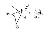 (1R,4S)-7-叔丁氧羰基-2-氧代-7-氮杂双环[2.2.1]庚烷