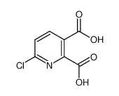 6-氯吡啶-2,3-二羧酸