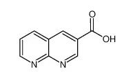 1,8-萘啶-3-羧酸
