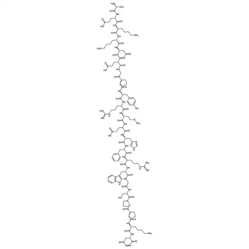 β-Melanocyte Stimulating Hormone human
