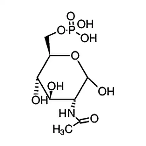 N-乙酰-D-半乳糖胺-6-磷酸