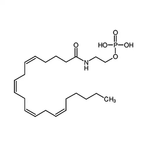 Arachidonoyl Ethanolamide Phosphate