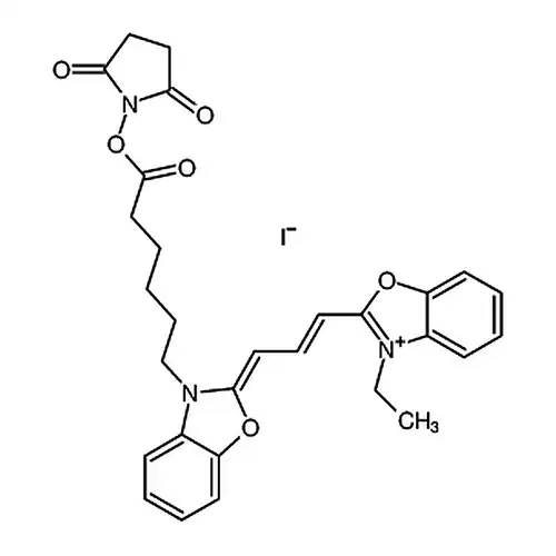 CY2-SE