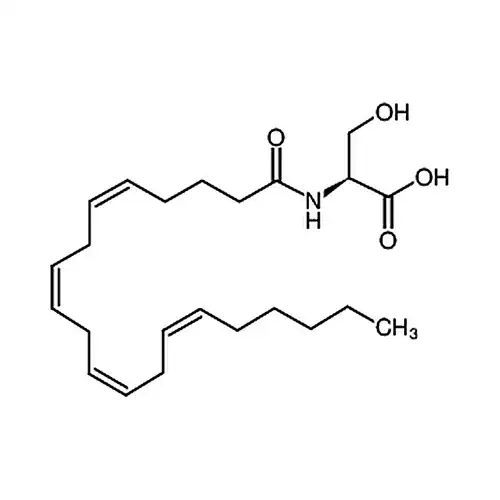 N-Arachidonoyl-L-Serine