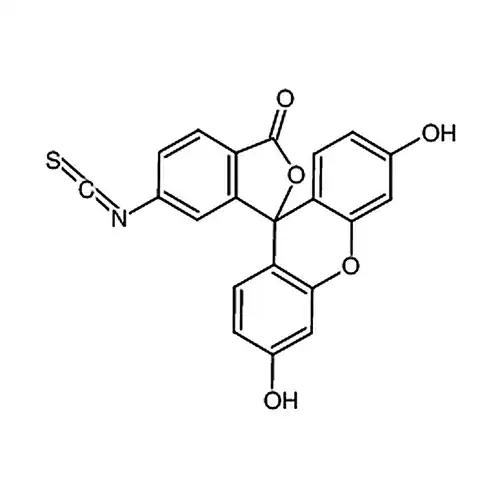 荧光素-6-异硫氰酸酯 (同分异构体II)