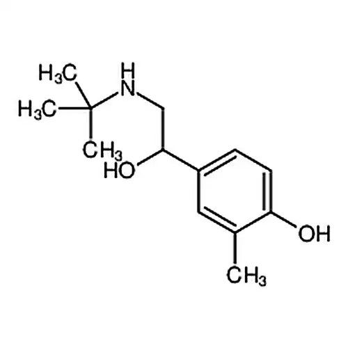 4-(2-(叔丁基氨基)-1-羟乙基)-2-甲基苯酚