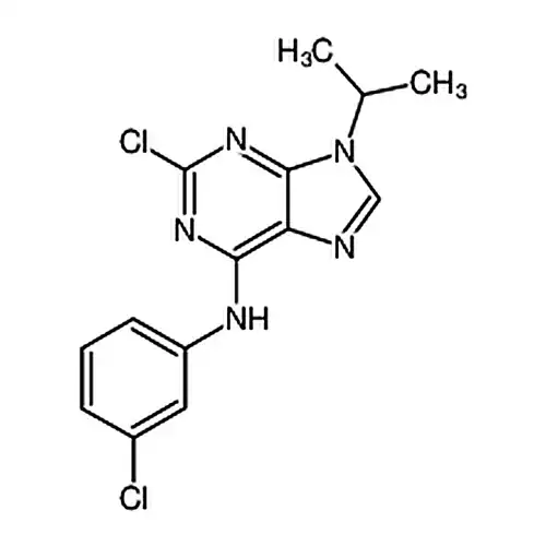 2-氯-N-(3-氯苯基)-9-异丙基-9H-嘌呤-6-胺