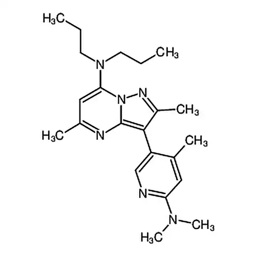 R121919