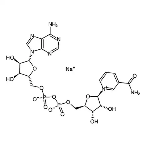 β-烟酰胺腺嘌呤二核苷酸 钠盐