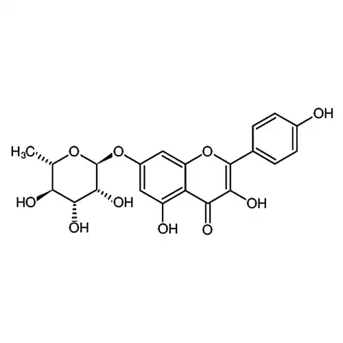 Kaempferol-7-O-rhamnoside