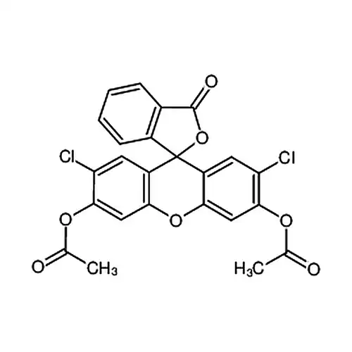 2′7′-二氯荧光素二乙酸盐
