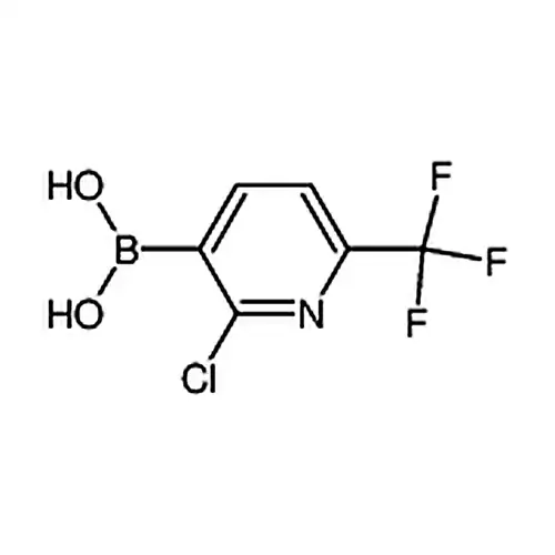 2-氯-6-三氟甲基吡啶-3-硼酸